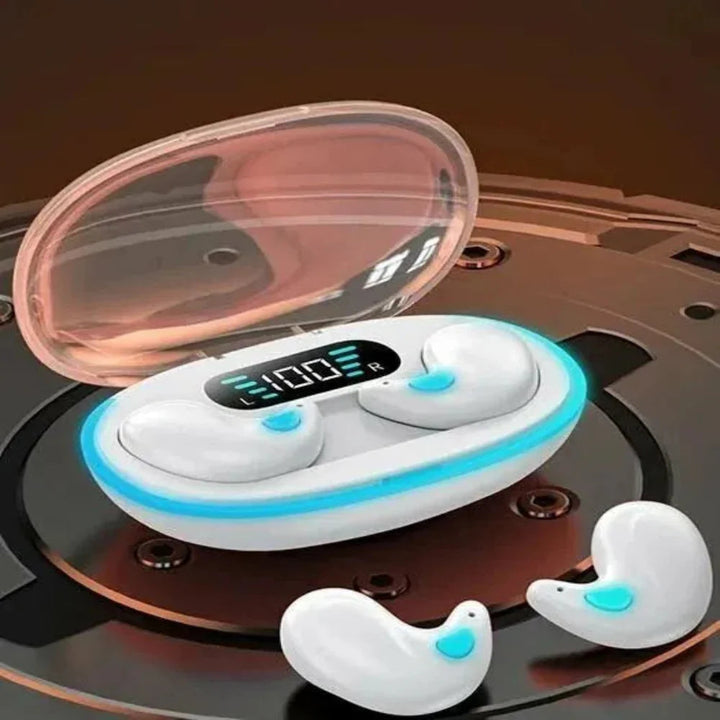 Wireless Bluetooth Earbuds | LED Display Charging Case